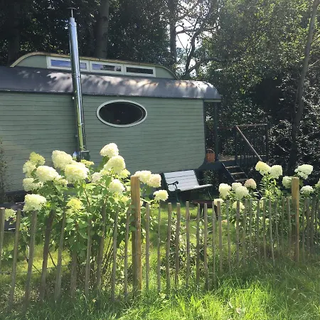 Historischer Zirkuswagen Inmitten Der 营地